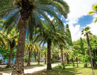 Парк спа отель "Нарт"