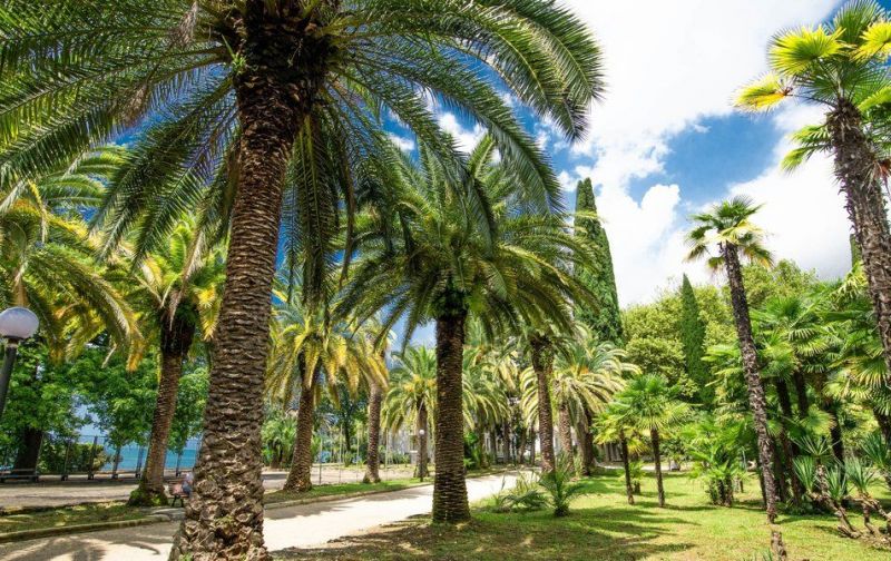 Парк спа отель "Нарт"